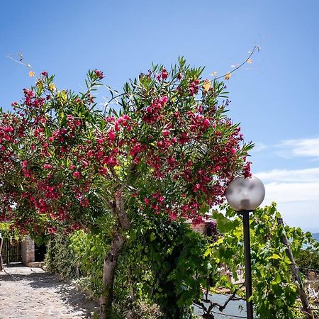 Casa Aniello Villa Caprioli Eksteriør billede